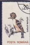 Stamps Romania -  AVE-UPUPA EPOPS