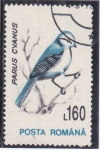 Stamps Romania -  AVE-PARUS CYANUS