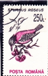 Stamps Romania -  AVE-SPURNUS ROSEUS
