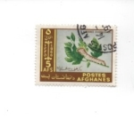 Stamps Afghanistan -  gusano de seda