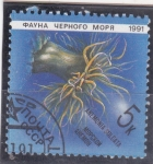 Stamps : Europe : Russia :  Fauna marina-anemonia