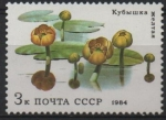 Stamps Russia -  PLANTAS  ACUÁTICAS.  WATER  LILIES.