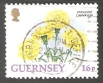 Stamps United Kingdom -  guernsey - Clavel estandart