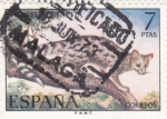 Stamps Spain -  FAUNA-gineta (25)
