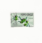Stamps Morocco -  ROYAUME DU MAROC