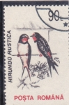 Stamps Romania -  AVES- HIRUNDO RUSTICA