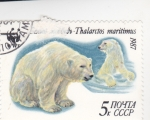 Stamps : Europe : Russia :  OSO POLAR