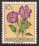 Stamps Democratic Republic of the Congo -  Dissotis magnifica 1952 10 cents fr