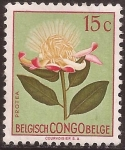 Stamps Africa - Democratic Republic of the Congo -  Protea  1952 15 cents fr