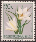 Stamps Democratic Republic of the Congo -  Vellozia aequatorialis  1952  20 cents fr