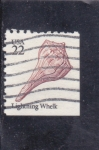 Stamps United States -  CA R A C O L A