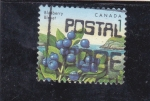 Stamps : America : Canada :  BLUEBERRY