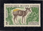 Sellos de Africa - Costa de Marfil -  cephalophus cylvicultor