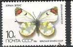 Sellos de Europa - Rusia -  C.C.C.P. Mariposas Nº3