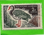 Stamps Ivory Coast -  plectpopterus gambensis
