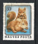 Sellos de Europa - Hungr�a -  1976 Cías de animales salvajes.