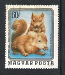 Stamps Hungary -  1976 Cías de animales salvajes.