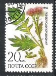 Sellos de Europa - Rusia -  C.C.C.P. Flores Siberia Nº4