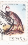 Stamps Spain -  Perdiz Roja (26)