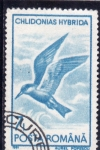 Stamps Romania -  A V E- Chilidonias hybrida 