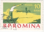 Stamps Romania -  pesca en el rio