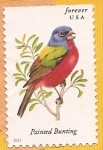 Stamps United States -  forever USA - Azulillo sietecolores