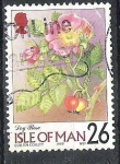 Stamps Europe - Isle of Man -  Rosa