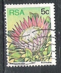 Sellos de Africa - Sud�frica -  1977 Succulents