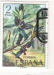 Sellos de Europa - Espa�a -  1973 Flora de las Islas Canarias.