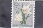 Stamps Democratic Republic of the Congo -  FLORES- vellozia