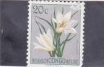 Sellos de Africa - Rep�blica Democr�tica del Congo -  FLORES- vellozia