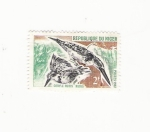 Stamps Africa - Niger -  CERYLE RUDIS RUDIS