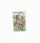Stamps Africa - Senegal -  HIPPOTRAGUE