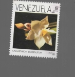 Sellos de America - Venezuela -  flor