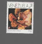 Stamps Venezuela -  FLOR