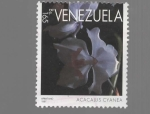 Stamps Venezuela -  FLOR