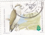 Sellos de Europa - Portugal -  A V E- Aguila pescadora