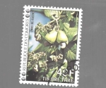 Stamps Africa - Comoros -  FRUTA