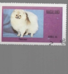 Stamps Asia - Nagaland -  POBERANIAN