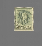 Stamps Australia -  flora