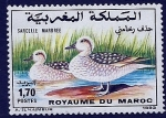 Stamps Morocco -  Patitos