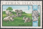 Stamps United Kingdom -  Islas Caimán