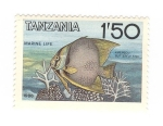 Sellos de Africa - Tanzania -  Pez Mariposa