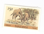 Stamps Tanzania -  Jirafa