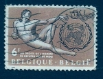 Stamps : Europe : Belgium :  Derechos del hombre