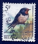 Stamps Belgium -  Pajaro