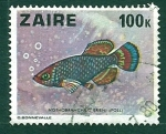 Stamps : Africa : Republic_of_the_Congo :  Nothobranchuch