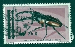 Stamps Democratic Republic of the Congo -  METOPODONTUS
