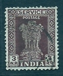 Stamps : Asia : India :  Columnas de Asoca