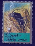 Stamps United Arab Emirates -  INSECTOS